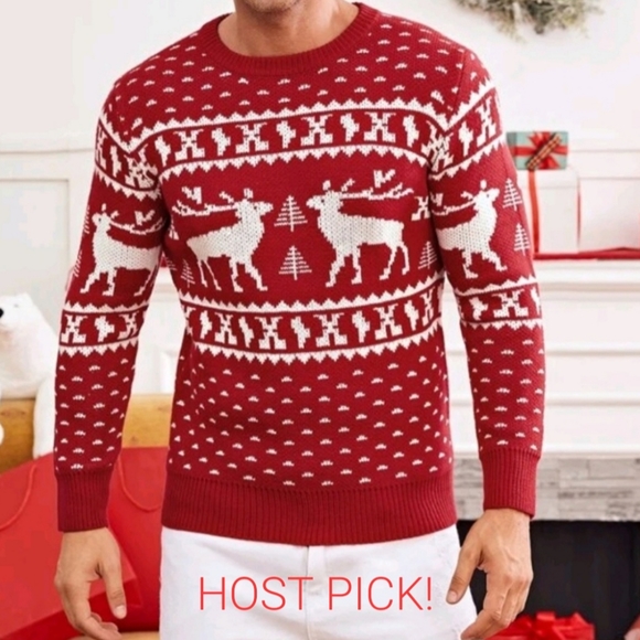 SHEIN Other - HP 🥳 Men's Christmas sweater 🤍❤️